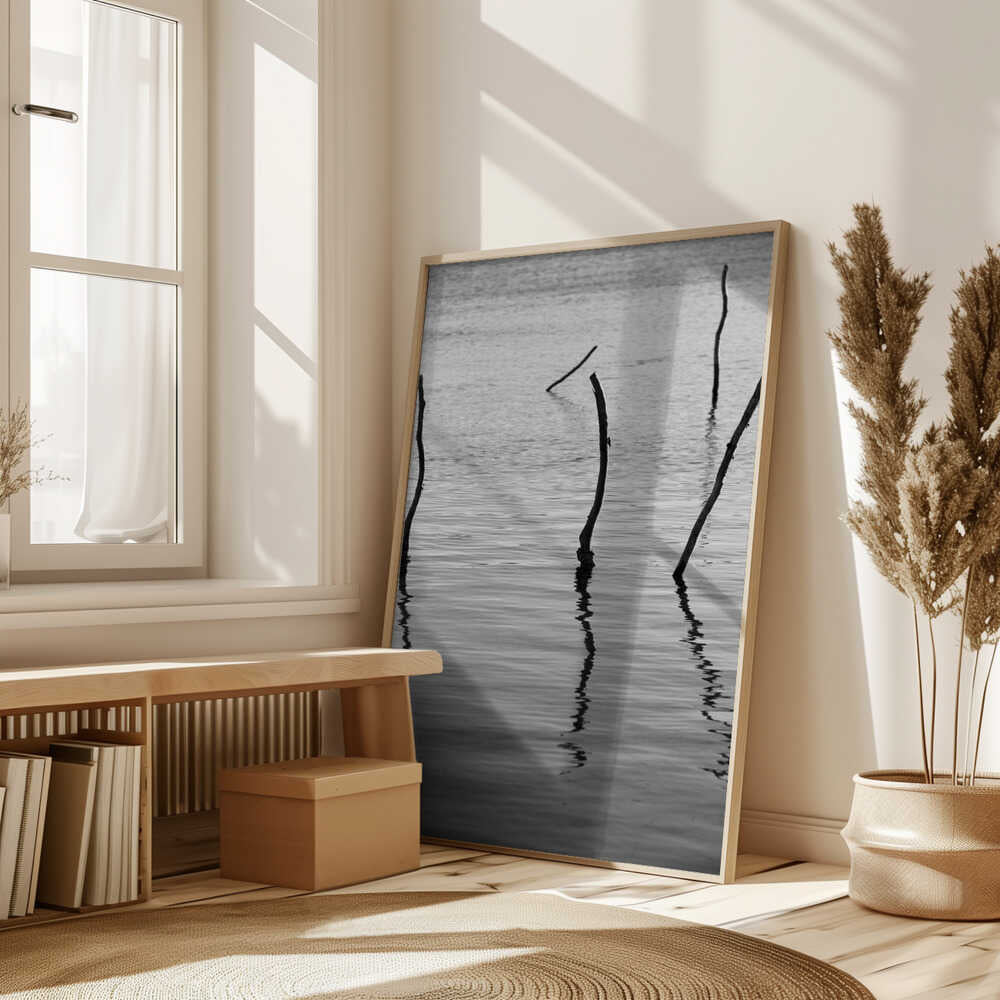 Silent Reflections Poster
