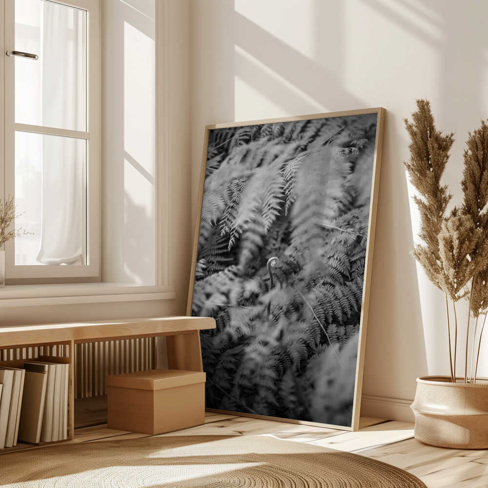 Black And White Photograph Poster