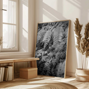 Black And White Photograph Poster