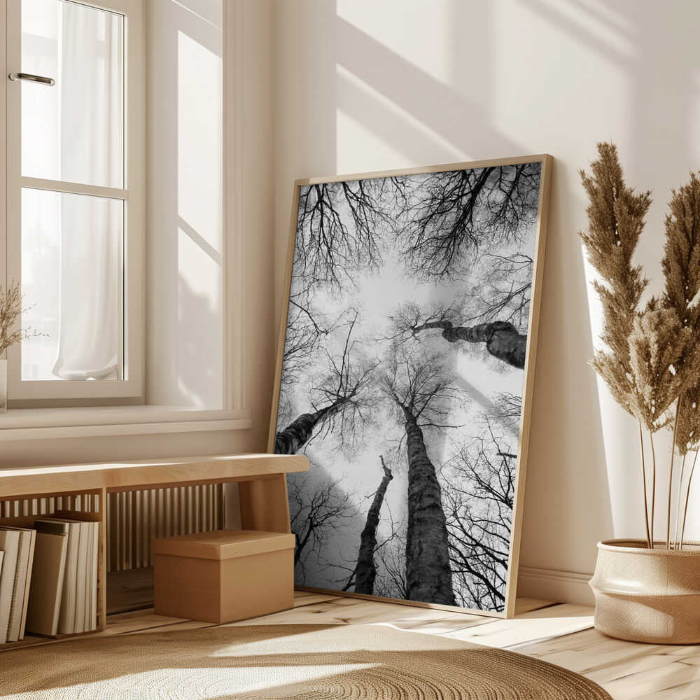 Reaching Branches Poster