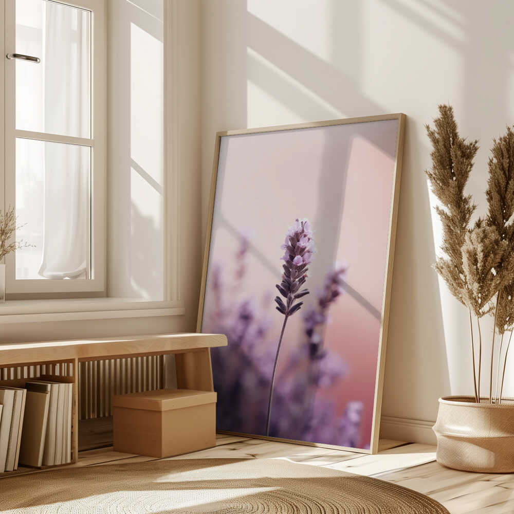 Lavender Serenity Poster