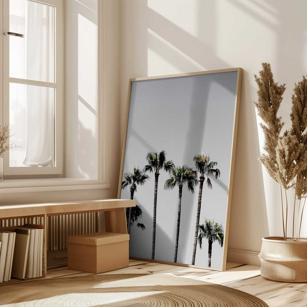 Palm Trees 5 Poster