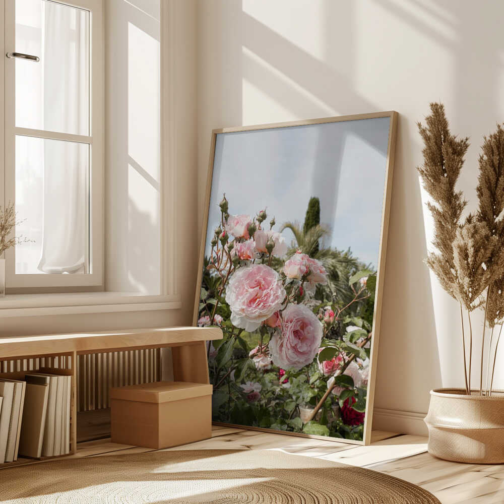 Garden Roses Poster