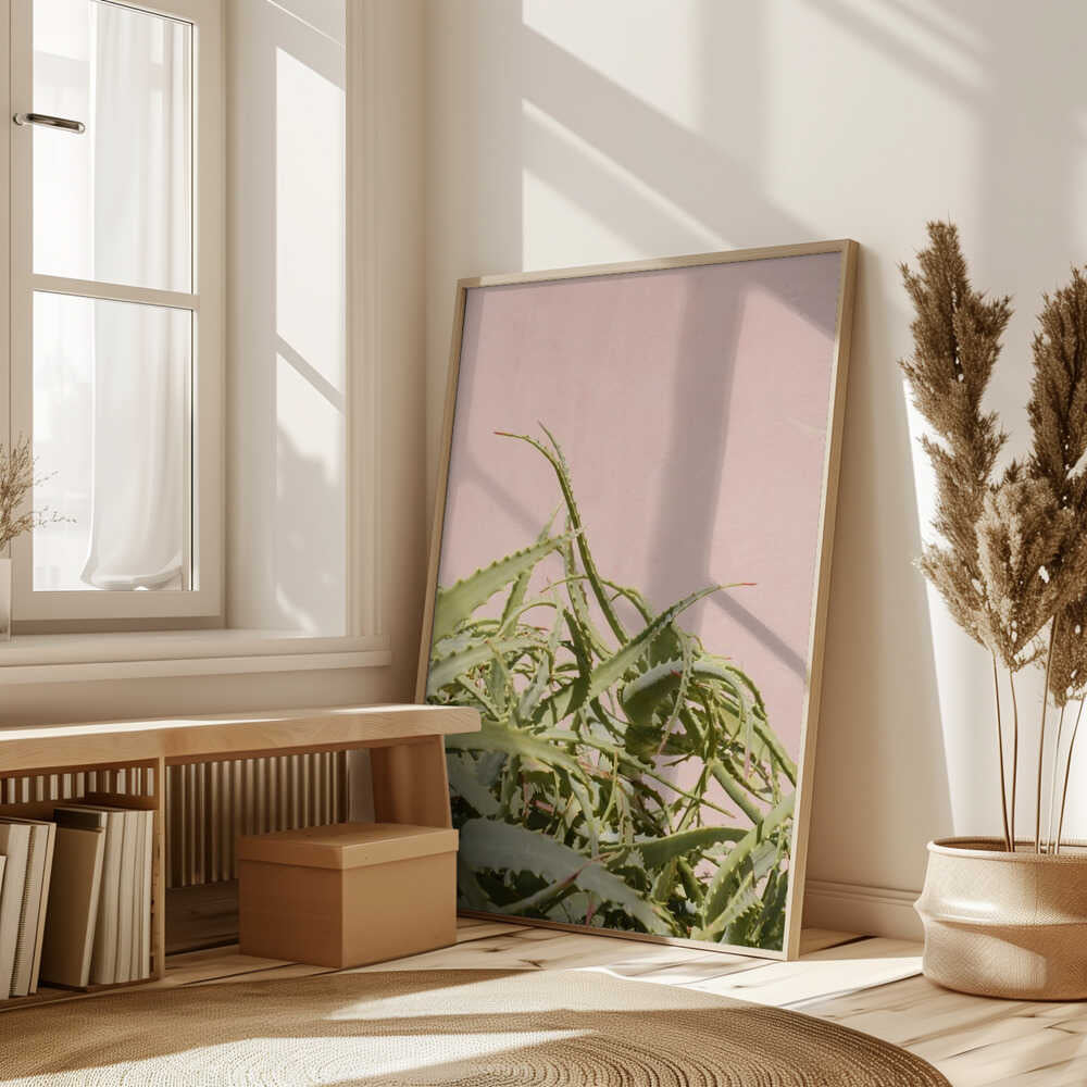 Cacti on Pink Poster