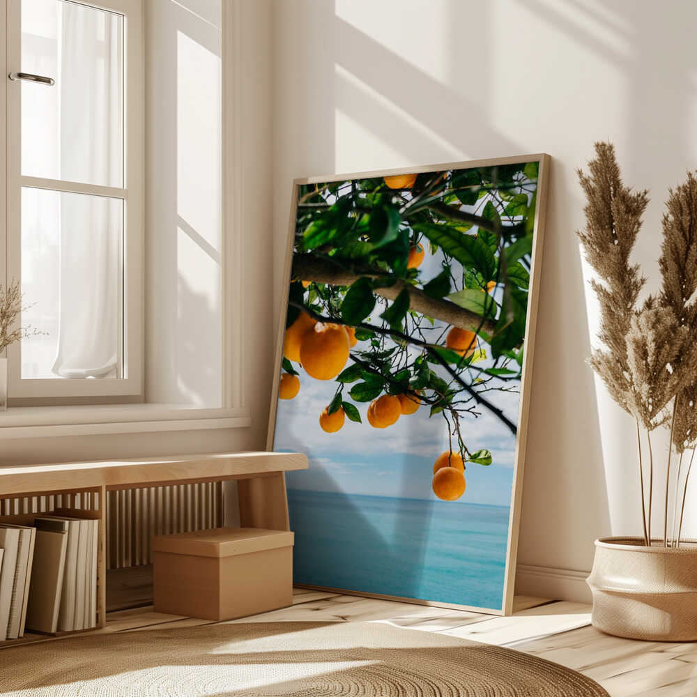 Amalfi Coast Oranges IV Poster