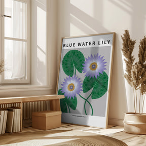 Blue Water Lily - National flower of Sri Lanka Poster