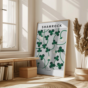 Shamrock - National flower of Ireland Poster