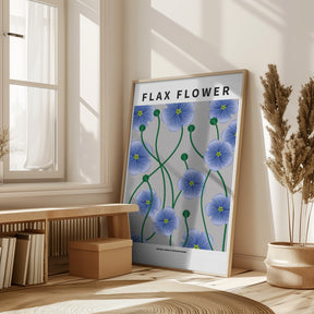 Flax flower - National flower of Ireland Poster