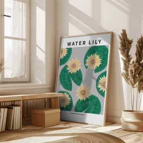 Water lily - National flower of Bangladesh Poster