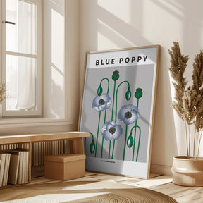 Blue Poppy - National flower of  Bhutan Poster