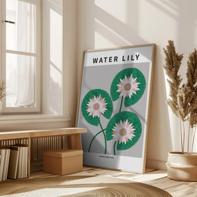 Water Lily - National flower of Iran Poster