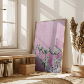 Cactus On Pink Poster