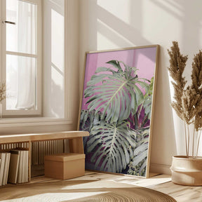 Monstera leaf La Muralla Poster