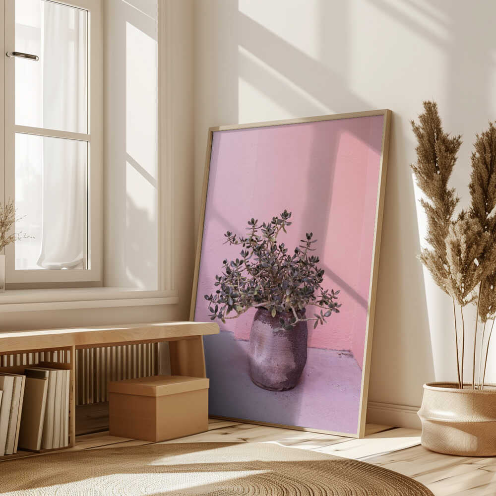 Spanish Rustic Succulent Poster