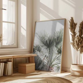 Palm Leaf Poster