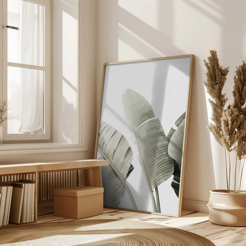 Banana leaf 1 Poster