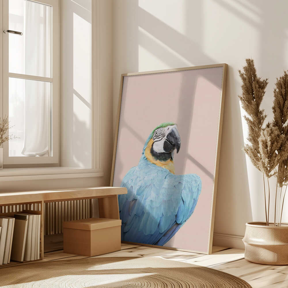 Blue Macaw Poster