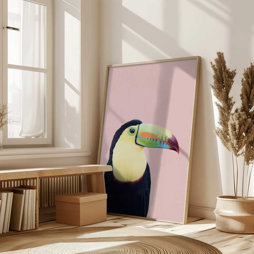 Toucan on Pink Poster