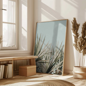 tropical vibes Poster