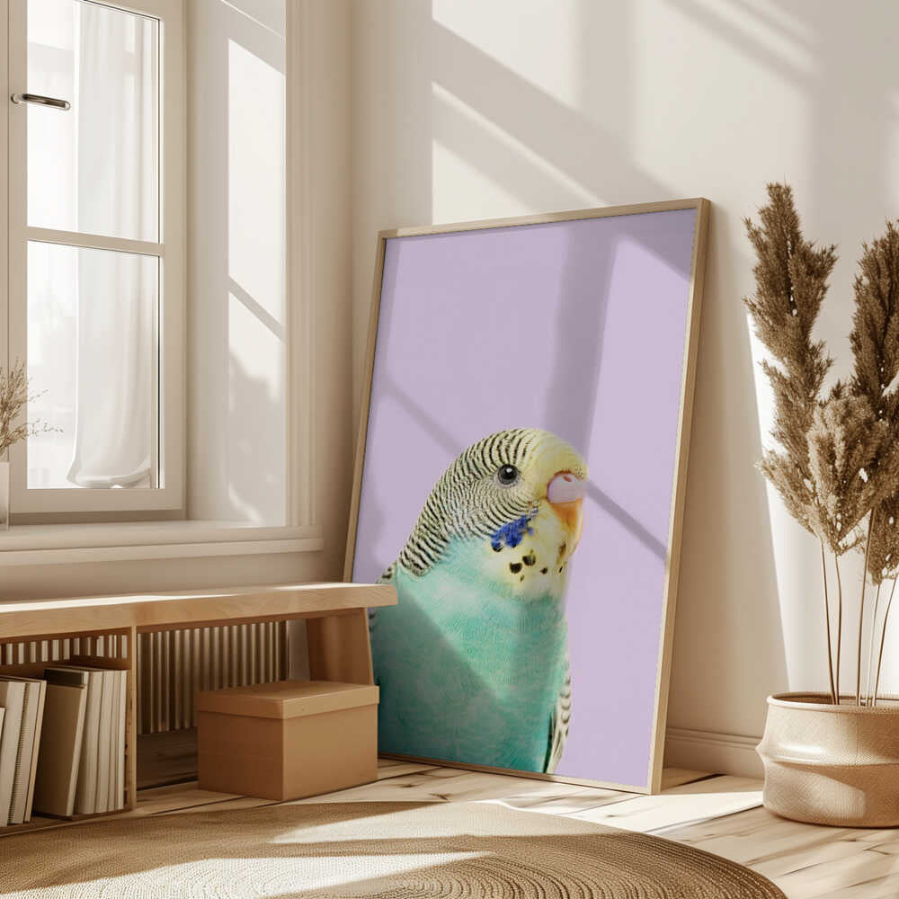 Badgie Poster