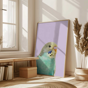 Badgie Poster