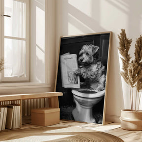 Doggy Doing A Doo Doo Poster