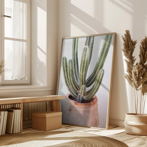 Prickly Poster