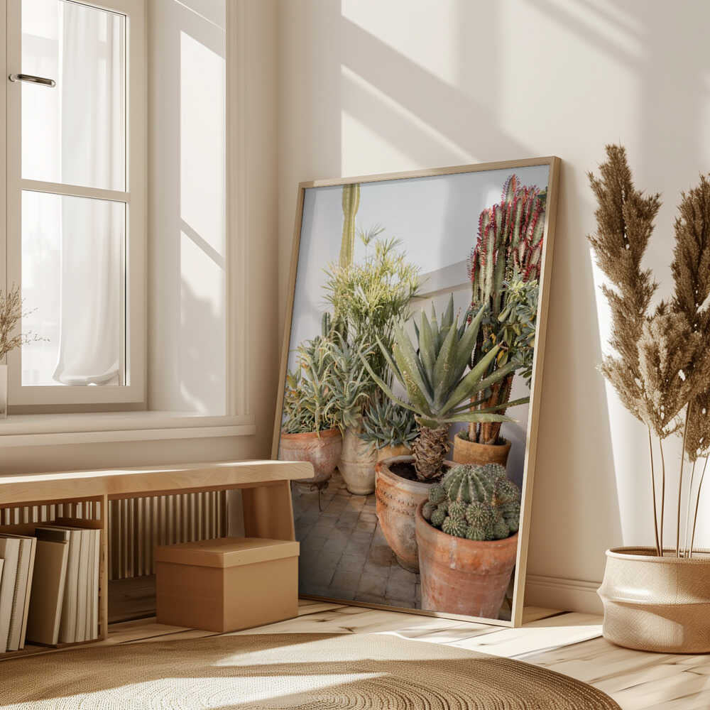 Garden with Various Potted Succulents and Cacti Poster