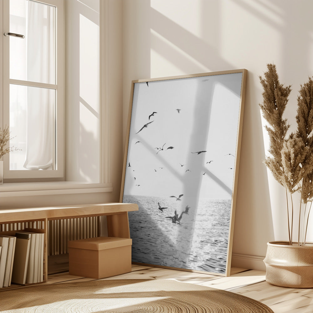 Seagulls At Sea Poster