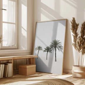 Palms Poster