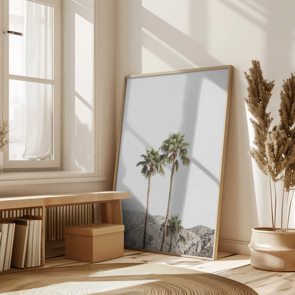 Palm Springs Palms Poster