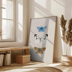 English Butterlies 2 Poster