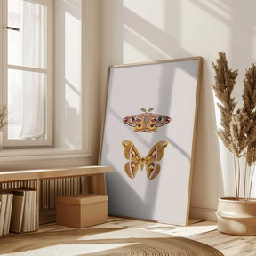 Moths Poster