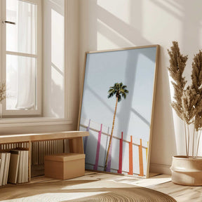 Palm Spring Colors 2 Poster