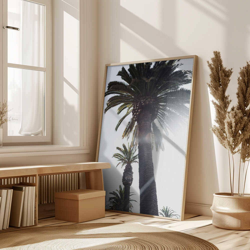 Palm Trees Poster