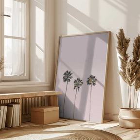 Palms On Pink Poster