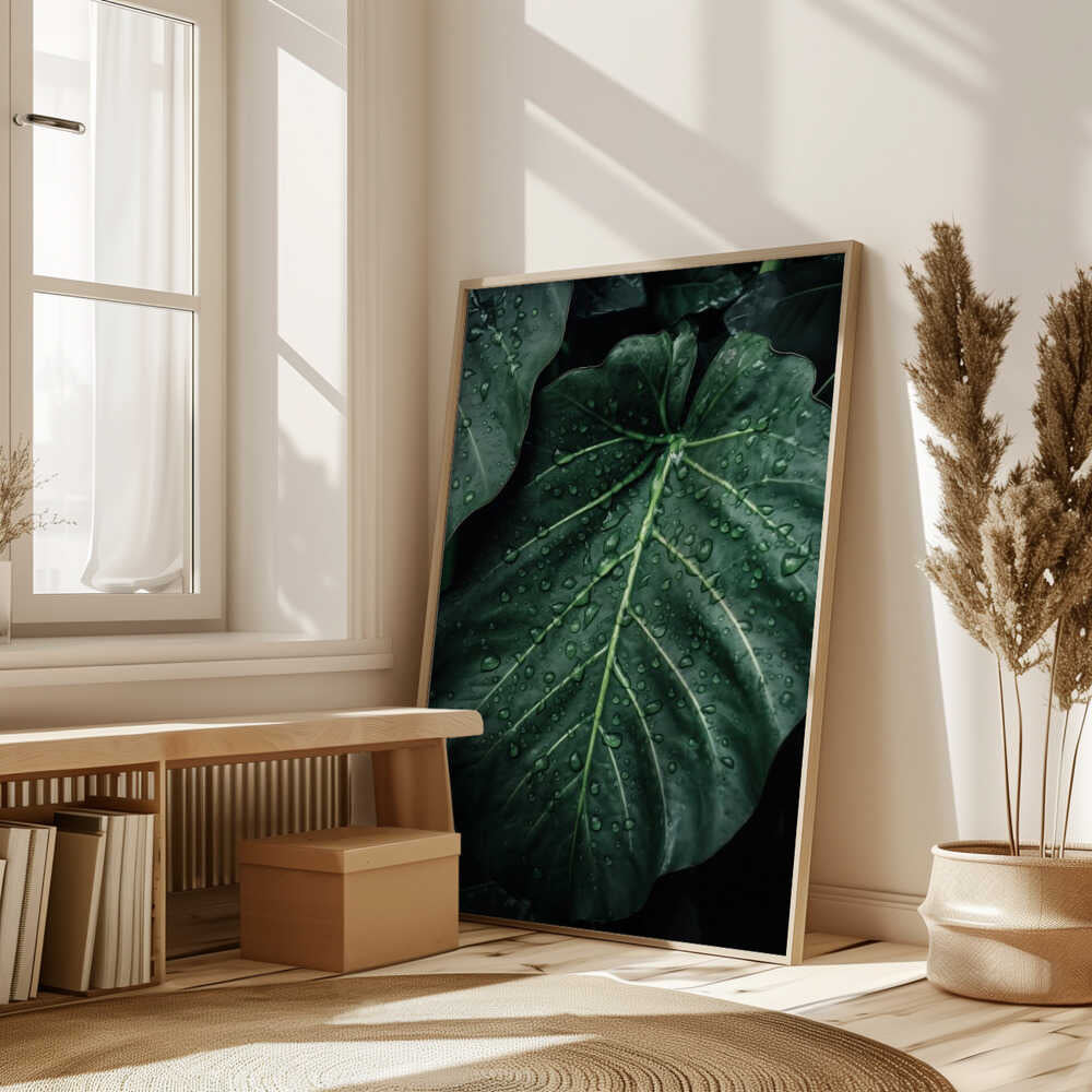 Rain Kissed Leaves Poster