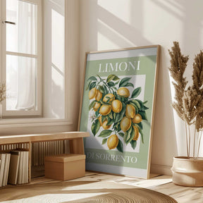 Limoni Di Sorrento 2 Poster
