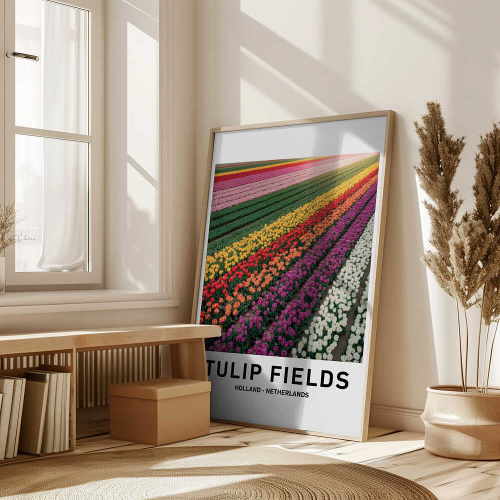 Tulip Fields Poster