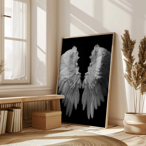 White Wings Poster