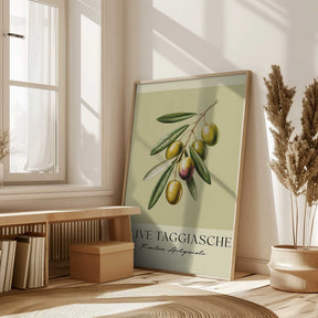 Olive Taggiasche Poster