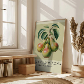 Pera Di Romagna Poster