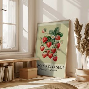 Fragola Di Cesena Poster