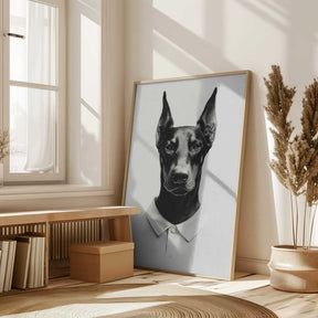 Doberman In Polo Shirt Poster