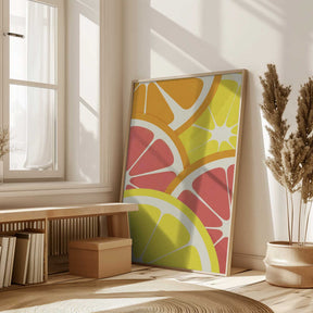 Citrus Slices Poster