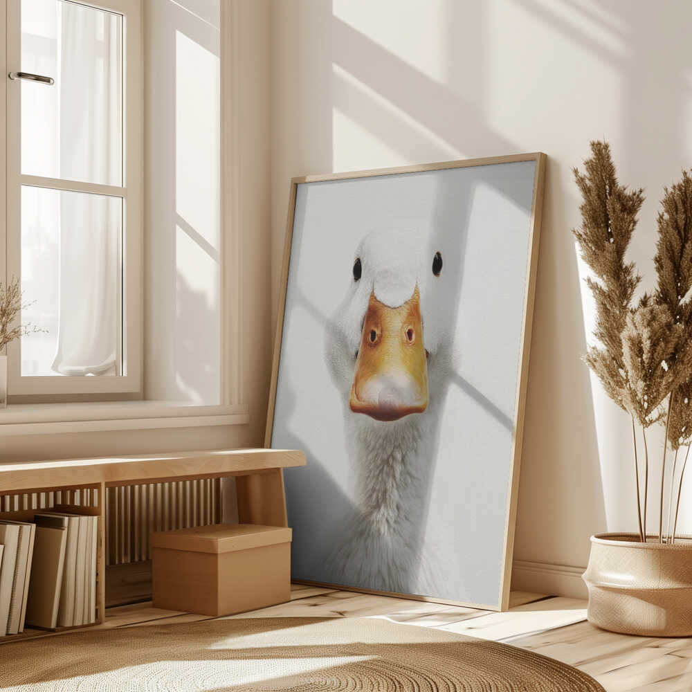 The White Duck Poster