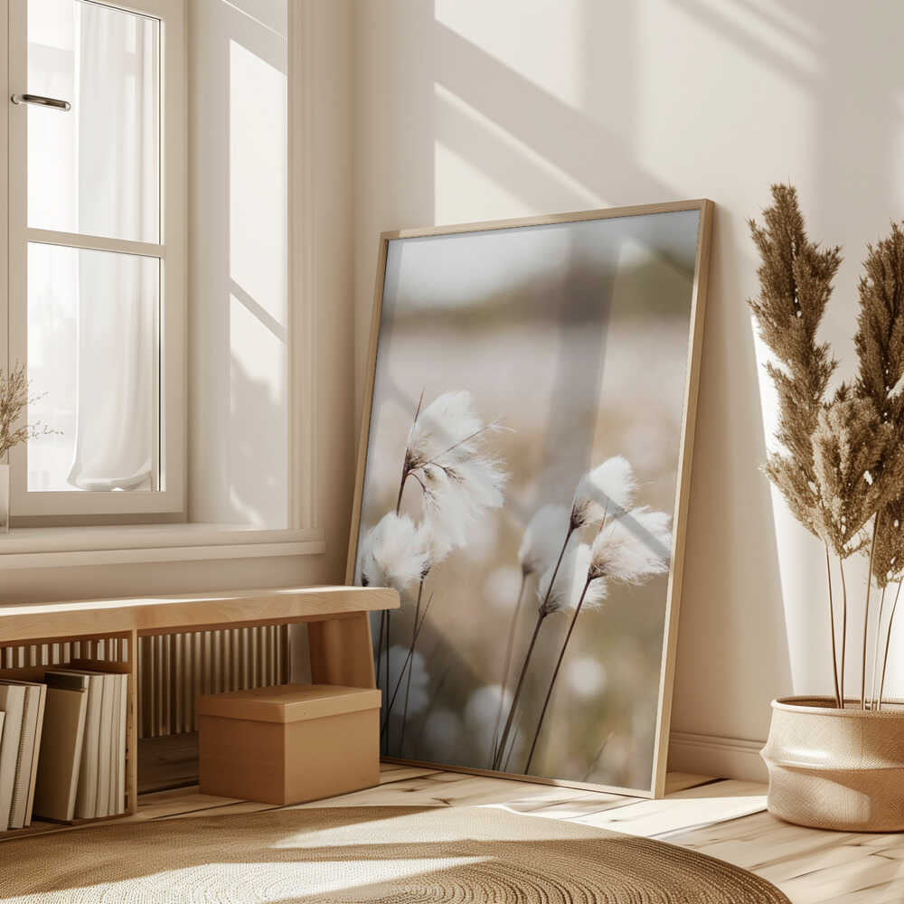 Cotton Grass - Eriophorum Poster