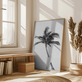 Palm Surfboard Poster