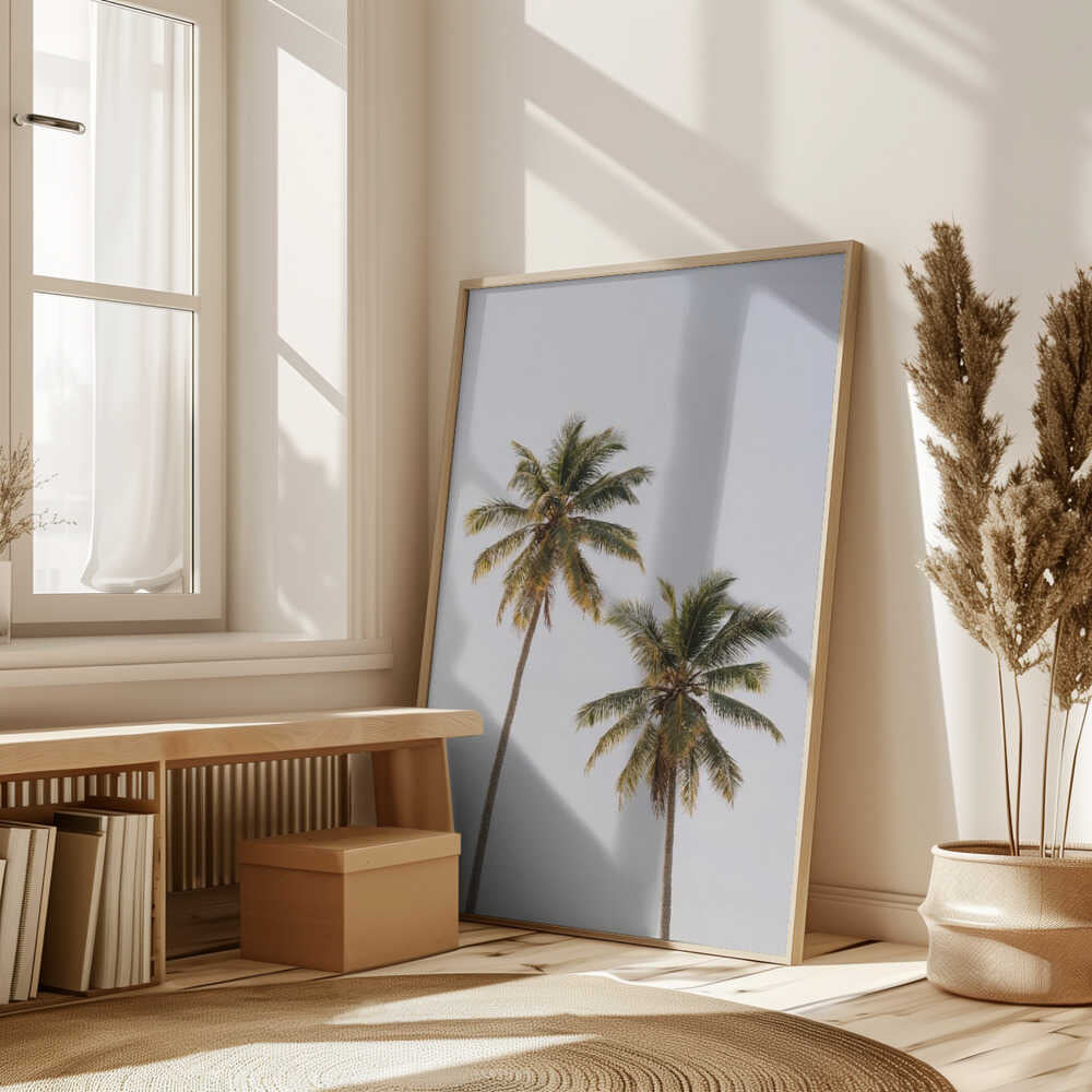 Palm Trees Poster