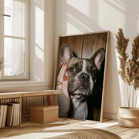 Petting a Frenchie Poster